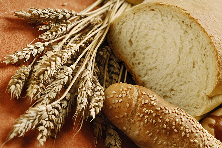 Food_bread.jpg